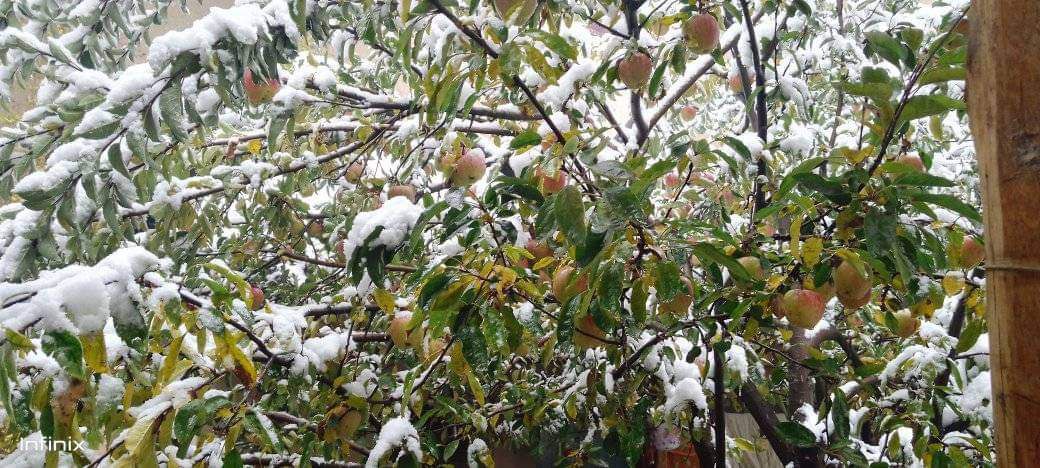 Yigit jinsiy azosini qiynagan qizlar bilan jinsiy aloqani tomosha qiling Mobil porno saytlar katalogi