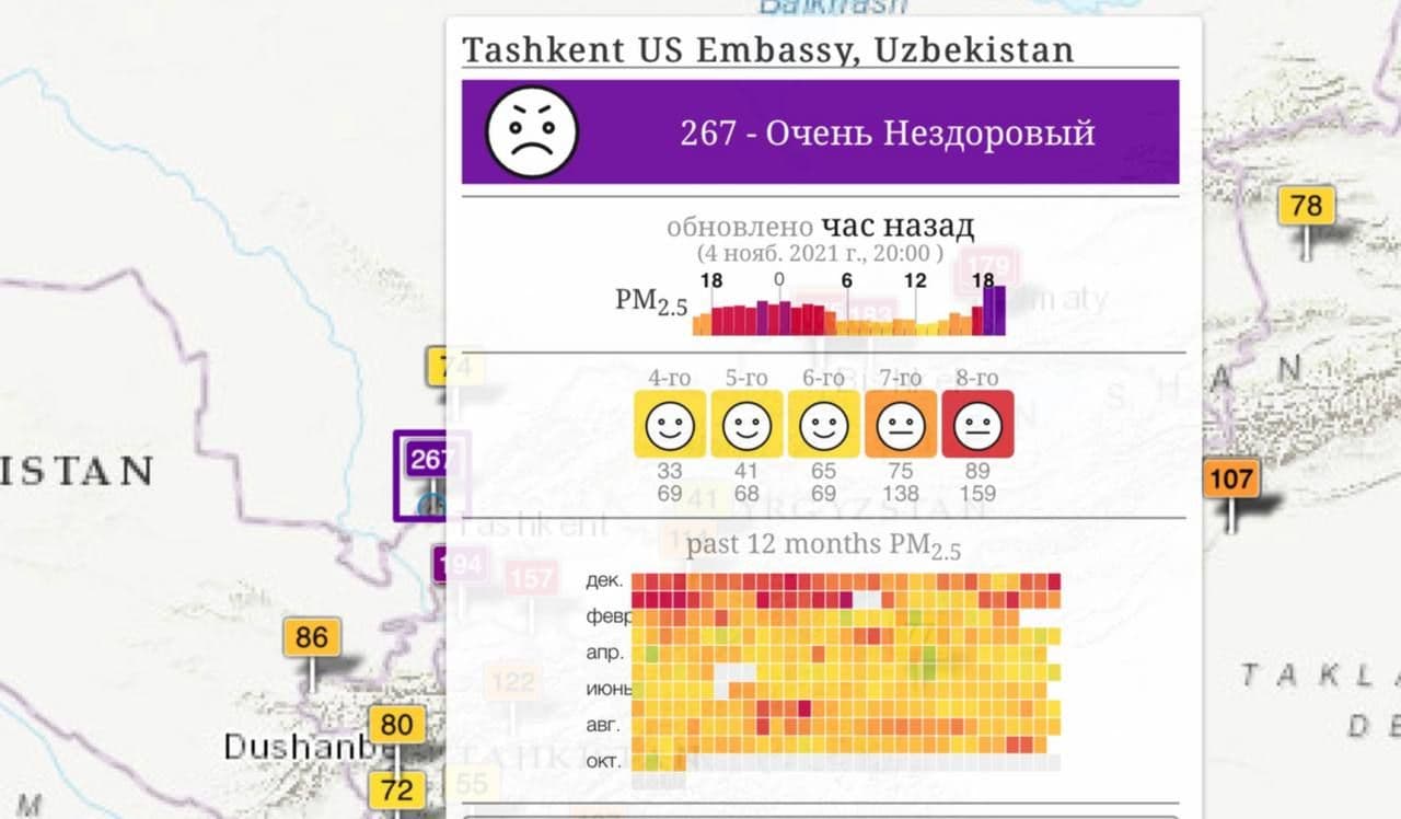 Как защититься от пыльных бурь в Узбекистане? | UzReport.news