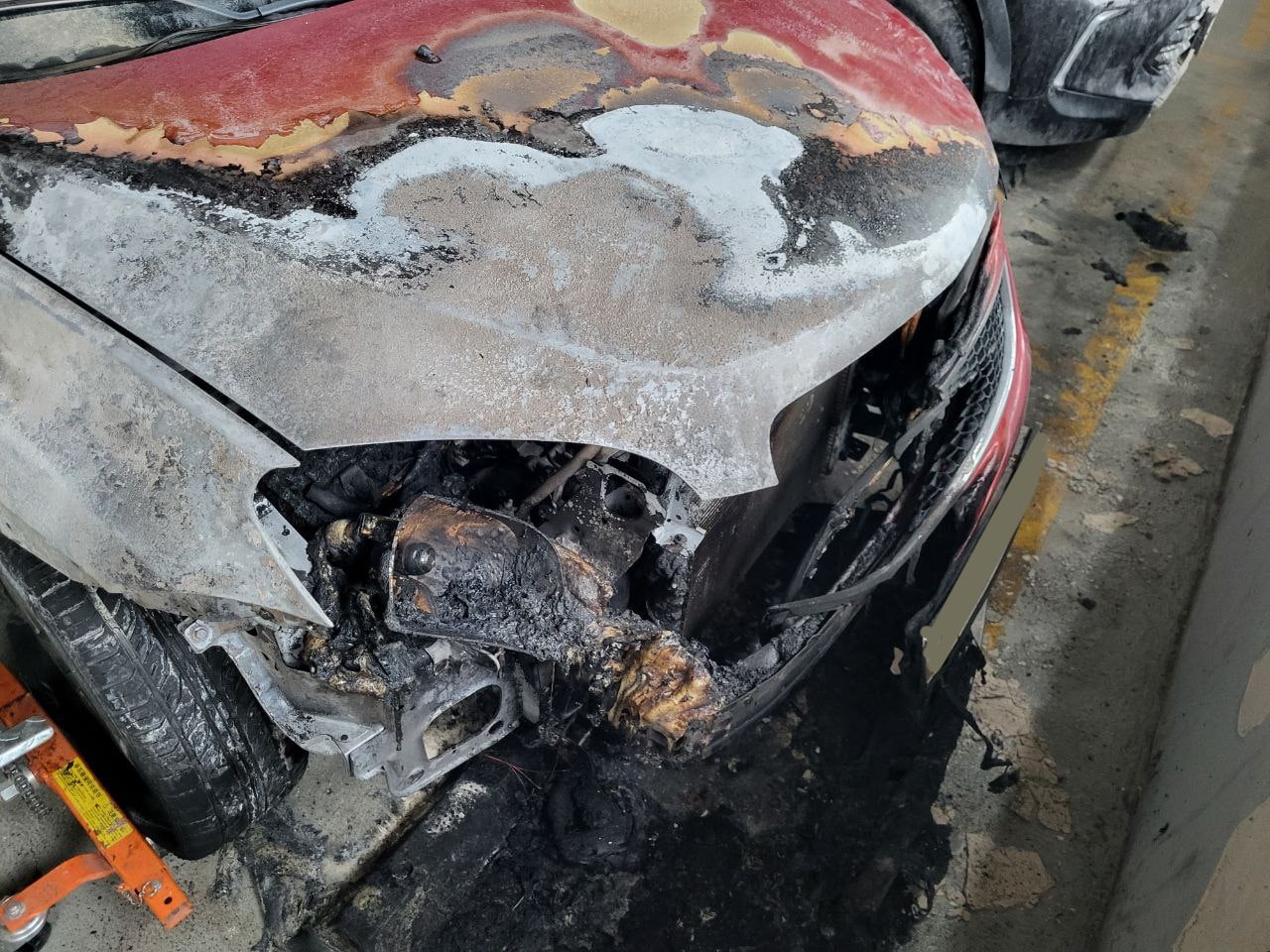 Mushuklarning jinsiy buzuqliklari Chechen mosha jinsiy aloqa