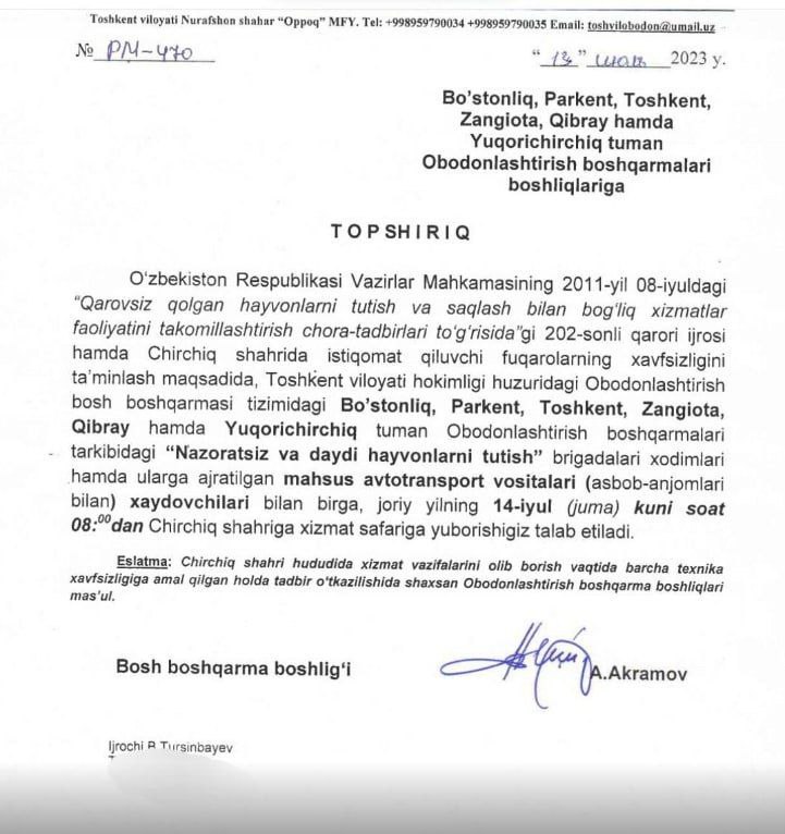 Jin ursin yaxshi kokraklar