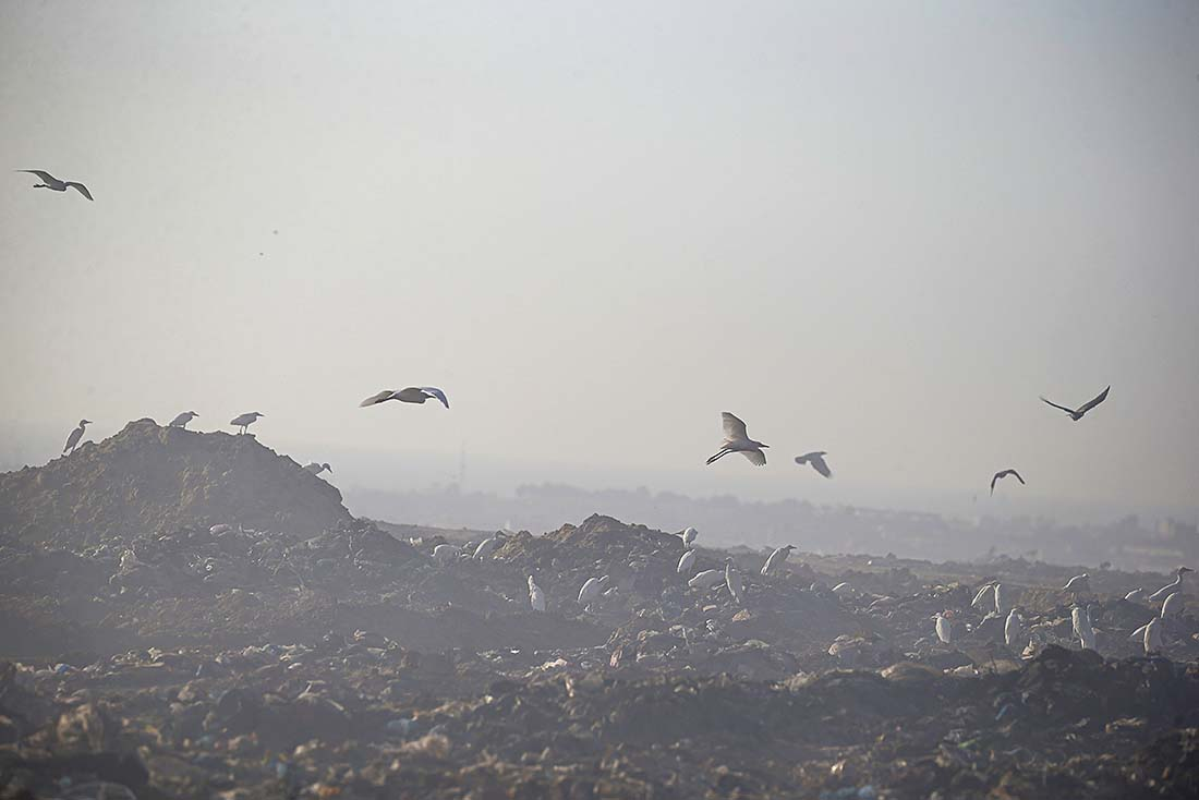 Porno hd kompilyatsiya