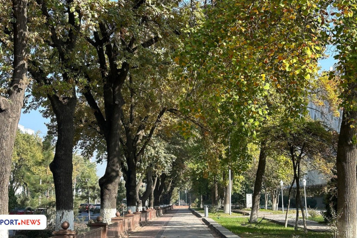 19-22-oktabr: O'zbekistonda ish haftasi davomida havo harorati pasayib boradi