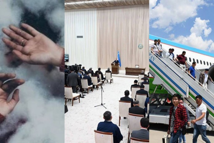 Shaffof külotlardagi mushuklar Anjelina Joli porno