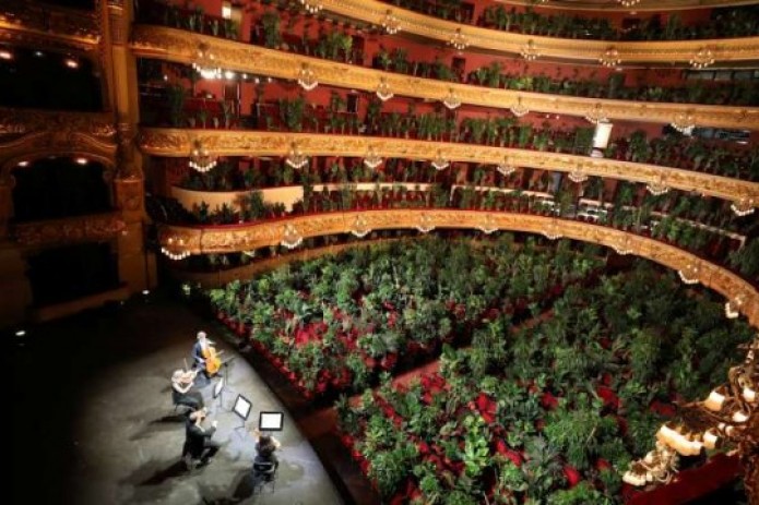 Barselonada o'simliklar uchun konsert tashkil qilindi