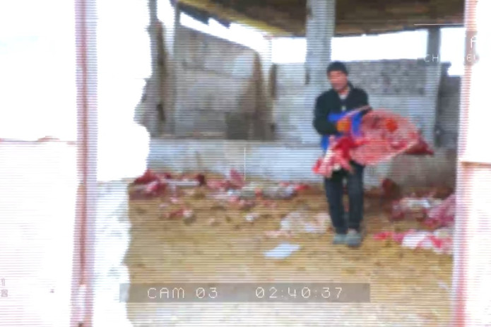“Kilosini 20 ming so‘mdan sotardim” – eshak go‘shti sotib kelgan yigit jinoiy jazoga tortildi