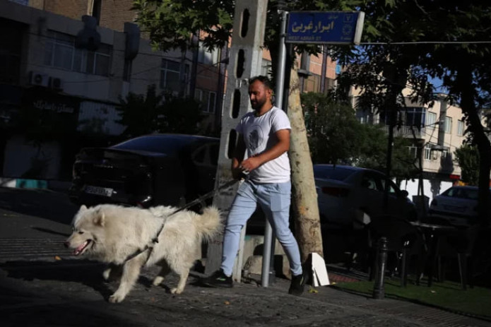 Erondagi 25 shaharda itlarni ko‘chada sayr qildirish taqiqlandi