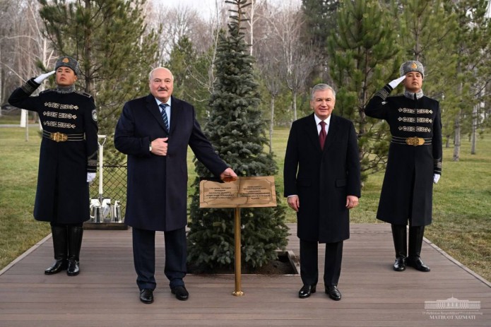 O'zbekiston va Belarus prezidentlari Faxriy mehmonlar xiyobonida birgalikda daraxt ekdi