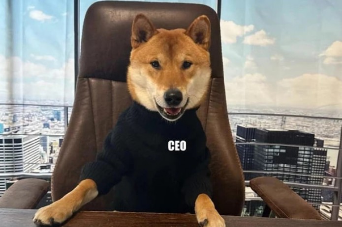 Ilon Mask itni Twitter bosh direktori lavozimiga “tayinladi”