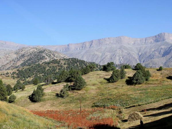 В Узбекистане площадь природноохраняемых зон намечено довести до 10% территории республики