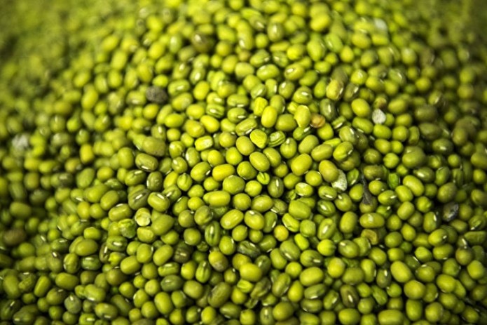 Uzbekistan exports mung bean to 23 countries