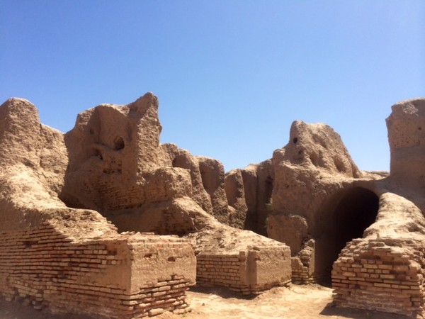 Археологи Чикагского университета поведут поисковые работы в Термезе