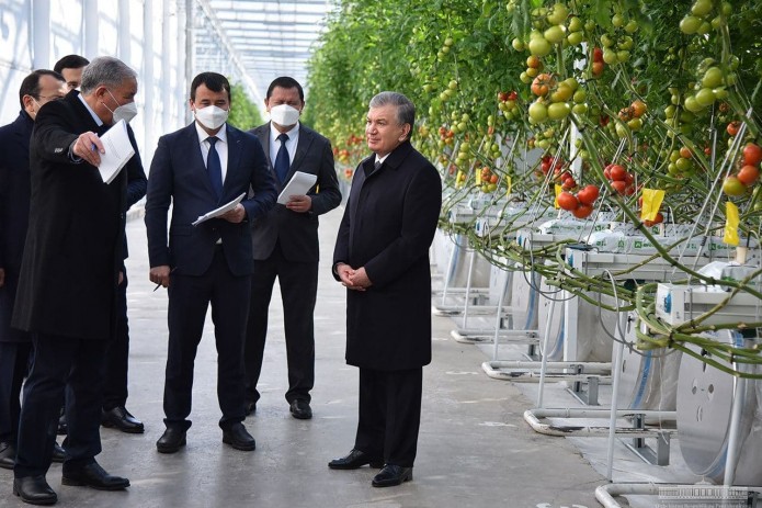 Шавкат Мирзиёев: У каждой теплицы должна быть своя лаборатория, свой бренд