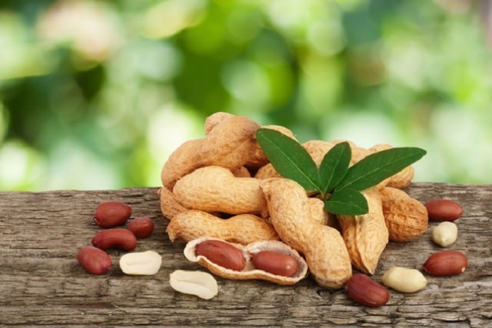 Uzbekistan starts peanut export to China