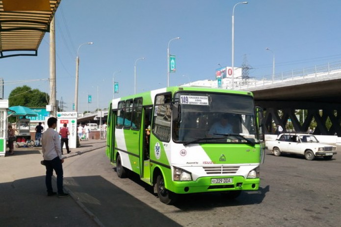 Free buses to launch in Tashkent