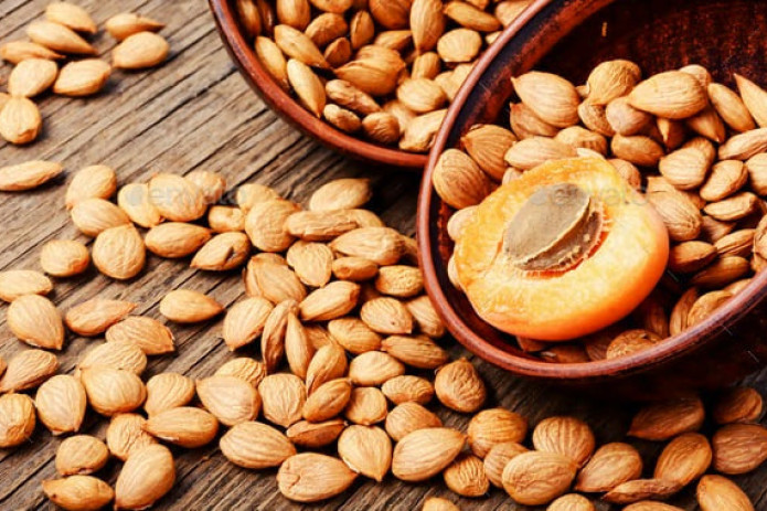 O'zbekistondan Buyuk Britaniyaga o'rik danagi mag'zi eksporti yo'lga qo'yildi