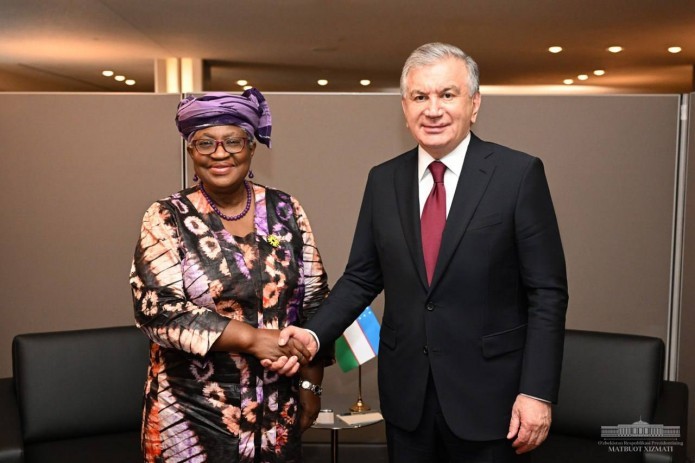 Uzbekistan and WTO Director General Discuss Membership