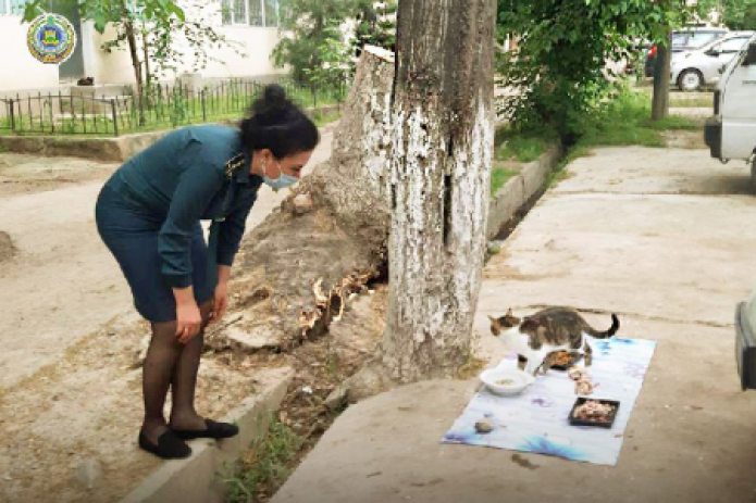 ГУВД Ташкента призвало жителей столицы не обижать животных