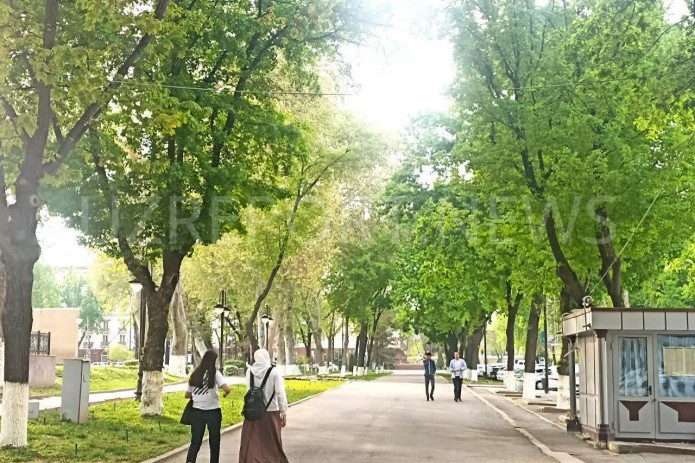 13-iyul kuni Toshkent havosining ifloslanish darajasi me’yordan besh baravar oshdi