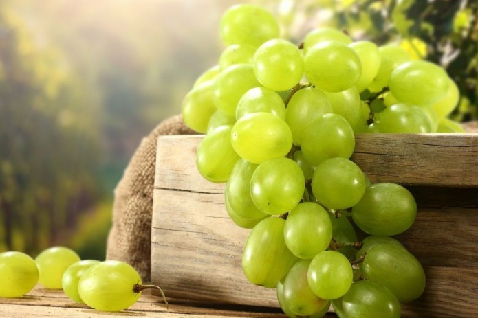 Uzbekistan ramps up grape exports by 8.9 thousand tons