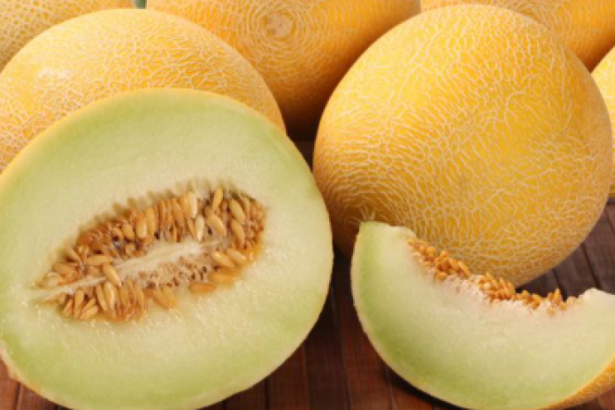 Uzbek melons expand to new horizons