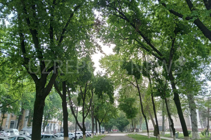 Dam olish kunlari O'zbekiston hududlari bo'ylab yog‘ingarchilik kutilmaydi