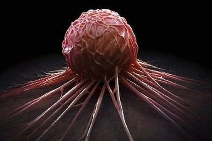 Борьба с раком: британские учёные обнаружили "универсальный способ"