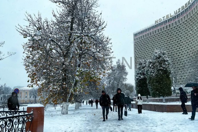 Hafta oxirida O'zbekistonda havo harorati -13 darajagacha tushib ketadi