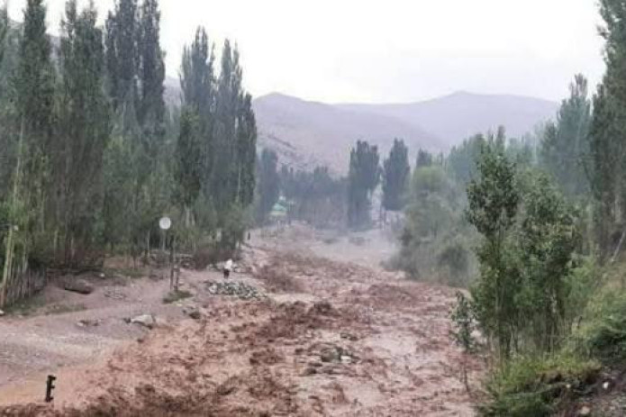 Qashqadaryoda sel tufayli Damas yo'lovchisi oqib ketib, halok bo'ldi