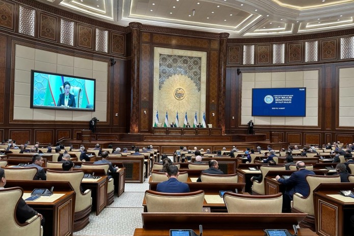 Konstitutsiya loyihasida 2024-yildan hokimlar kengash raisi lavozimini egallashi taqiqlanadi. Lekin deputat va senator etib saylanishi mumkin
