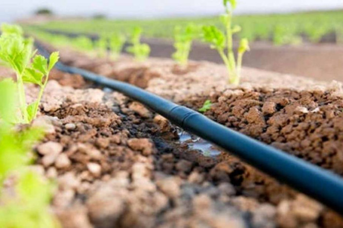 FAO Orolbo‘yi hududidagi qishloq aholisiga suv tejovchi texnologiyalarni taqdim etmoqda
