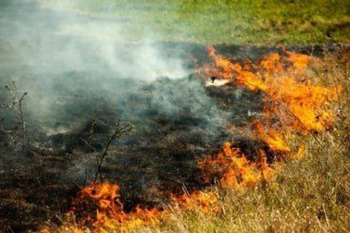 National Park of Tashkent caught fire