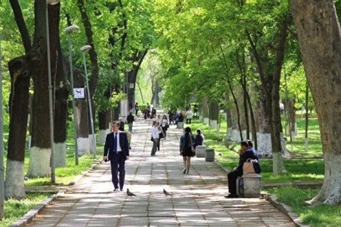 Синоптики: В Узбекистане после очень теплых выходных резко похолодает