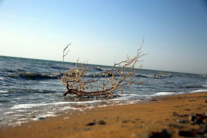 Germany to spend 8mn euros to help Aral Sea region develop