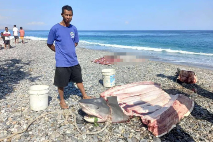 Indoneziyada akula qornidan amerikalik sayyohning jasadi topildi