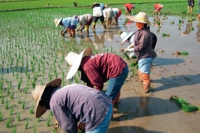 Vazir guruch haqidagi gapi ortidan iste’foga chiqdi