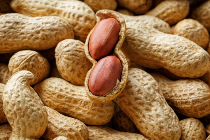 Uzbekistan's peanut exports surge 73.7% in 2024