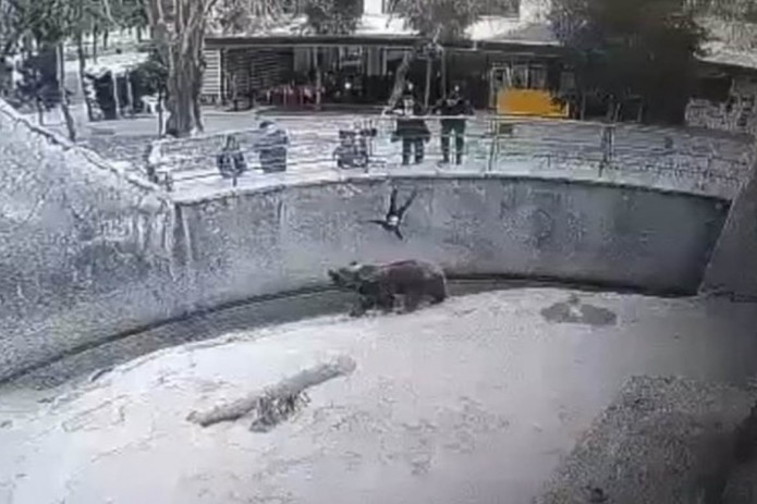 Матери, сбросившей своего ребенка в вольер к медведю вынесли приговор