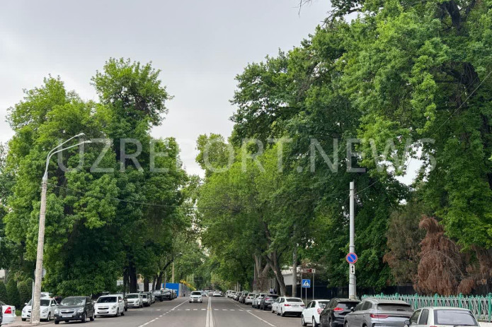 Ish haftasi davomida O‘zbekiston hududiga salqin va nam havo kirib keladi