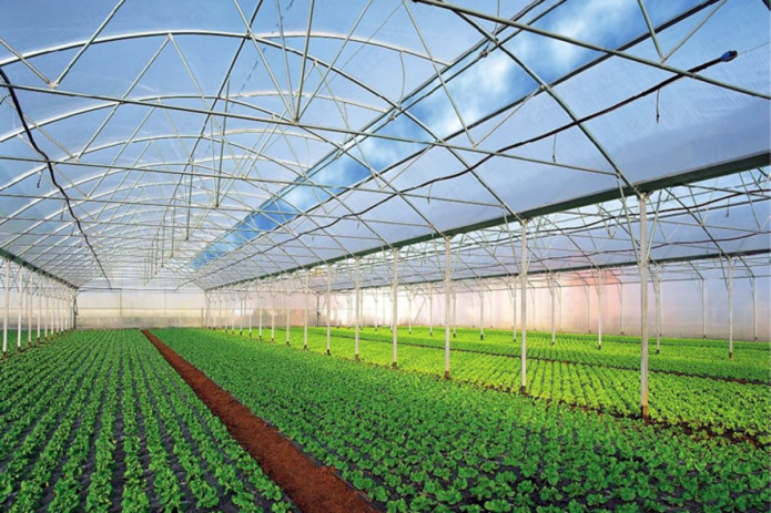 Porno otasi qizini yuklab olmasdan yiglaguncha sikadi