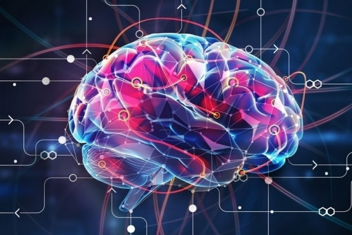 Insoniyatning IQ darajasi nega pasaymoqda?