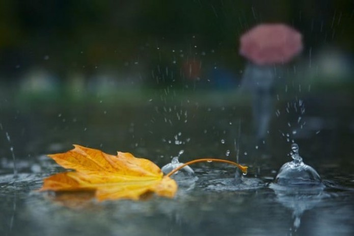 Tashkent's Air Quality Improves: PM 2.5 Levels Now Moderate