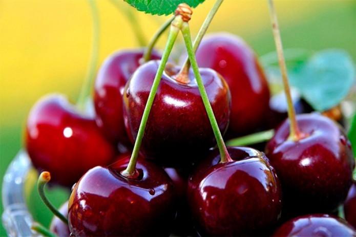 Uzbekistan exports first crop of cherry