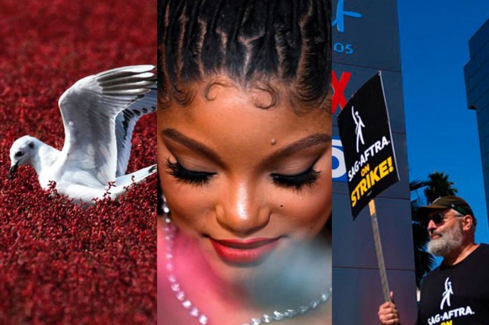 Eng chiroyli qizlar kokrak video Yashirin kamera porno