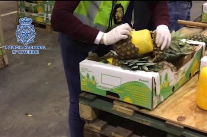 Portuguese, Spanish police bust huge "pineapple" cocaine ring