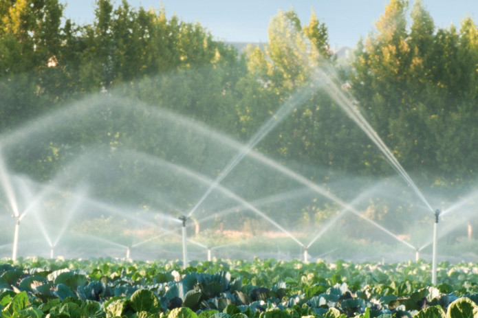 Uzbek government concretizes 15,000 km of irrigation networks