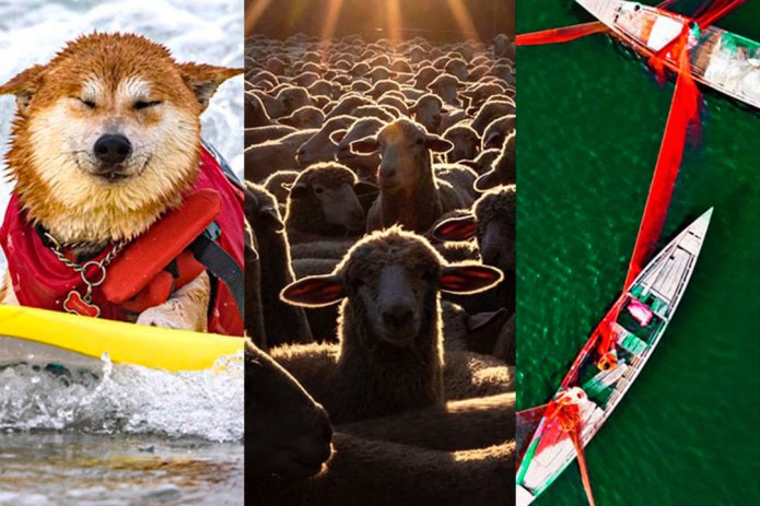 Испания мода ҳафталиги, Айдахо штатидаги қўйлар подаси, Калифорниядаги қуёш ботиши. Ҳафта суратлари