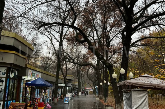 20-mart: Bugun O’zbekistonda yomg’irli ob-havo kuzatiladi