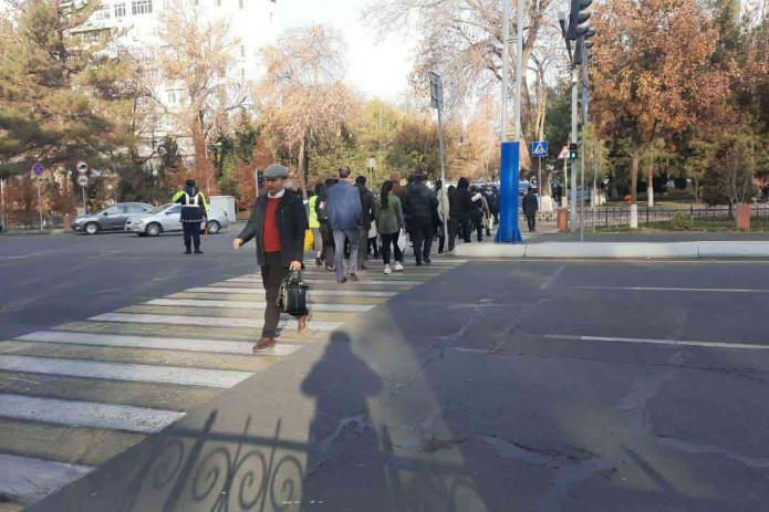 В Узбекистане создан фонд «Безопасная дорога и безопасный пешеход»
