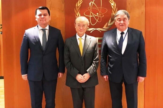 Uzbek Academy of Sciences President meets IAEA Director