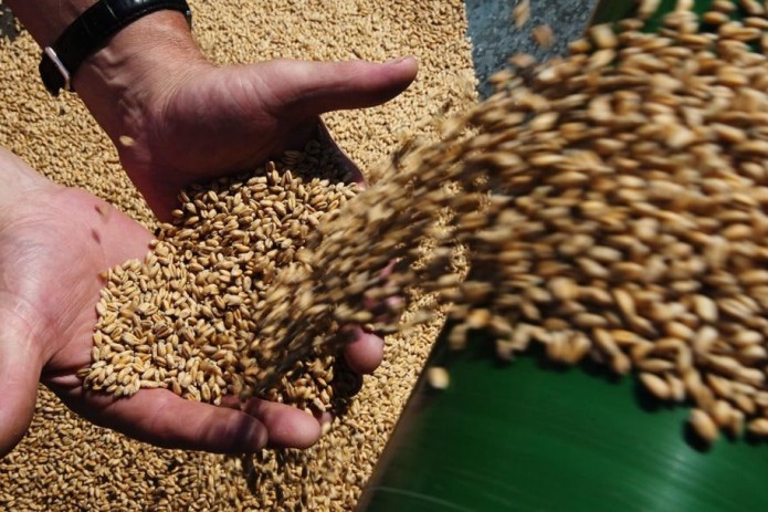 Процесс приемки и выдачи зерна со складов Узбекистана сделают оперативным и прозрачным